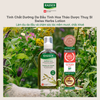 Tinh chất dưỡng tóc mềm mượt, chắc khỏe Rausch Swiss Herbs 200ml