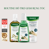 Bộ sản phẩm hỗ trợ giảm tóc gãy rụng, tăng mật độ tóc Rausch Ginseng