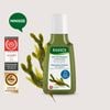 Dầu gội hỗ trợ kiểm soát dầu, giảm bết Rausch Seaweed 40ml