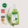 Dầu gội dưỡng tóc mềm mượt, chắc khỏe Rausch Swiss Herbs 40ml