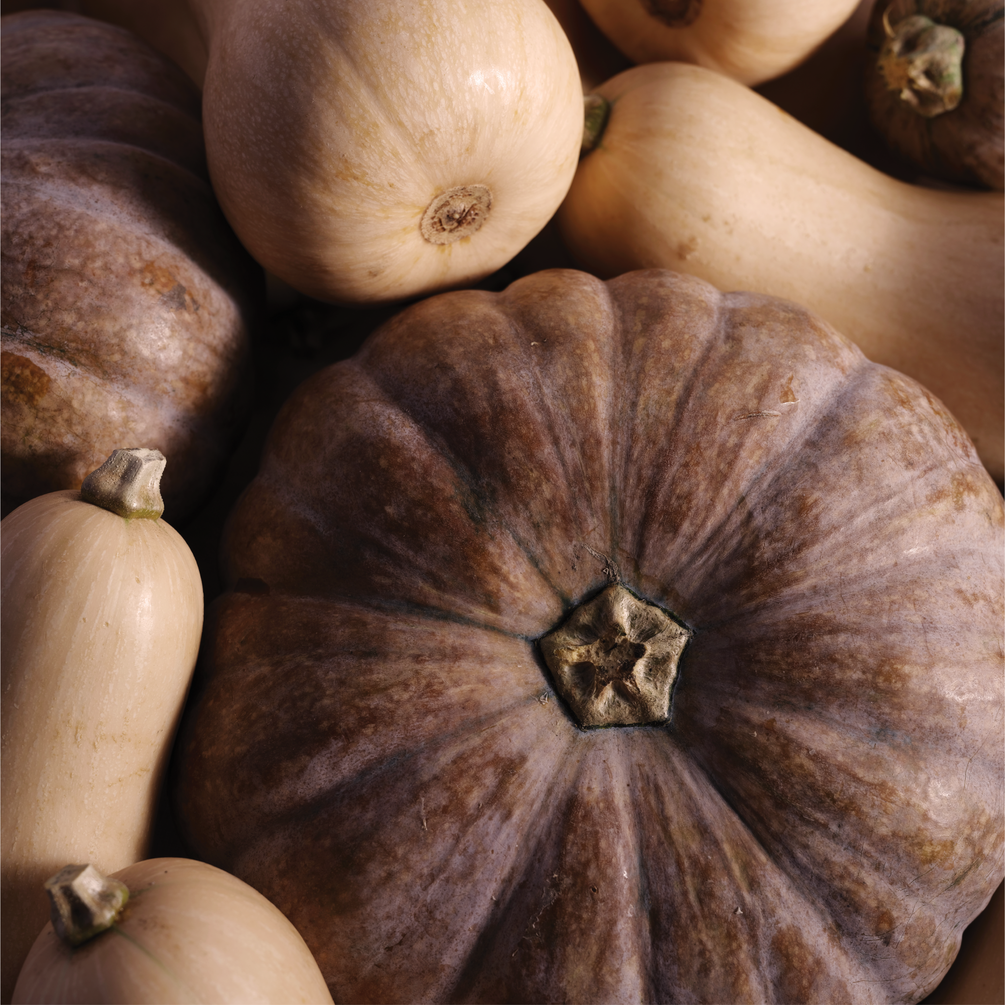 Kem Golden Pumpkin (Bí Đỏ)