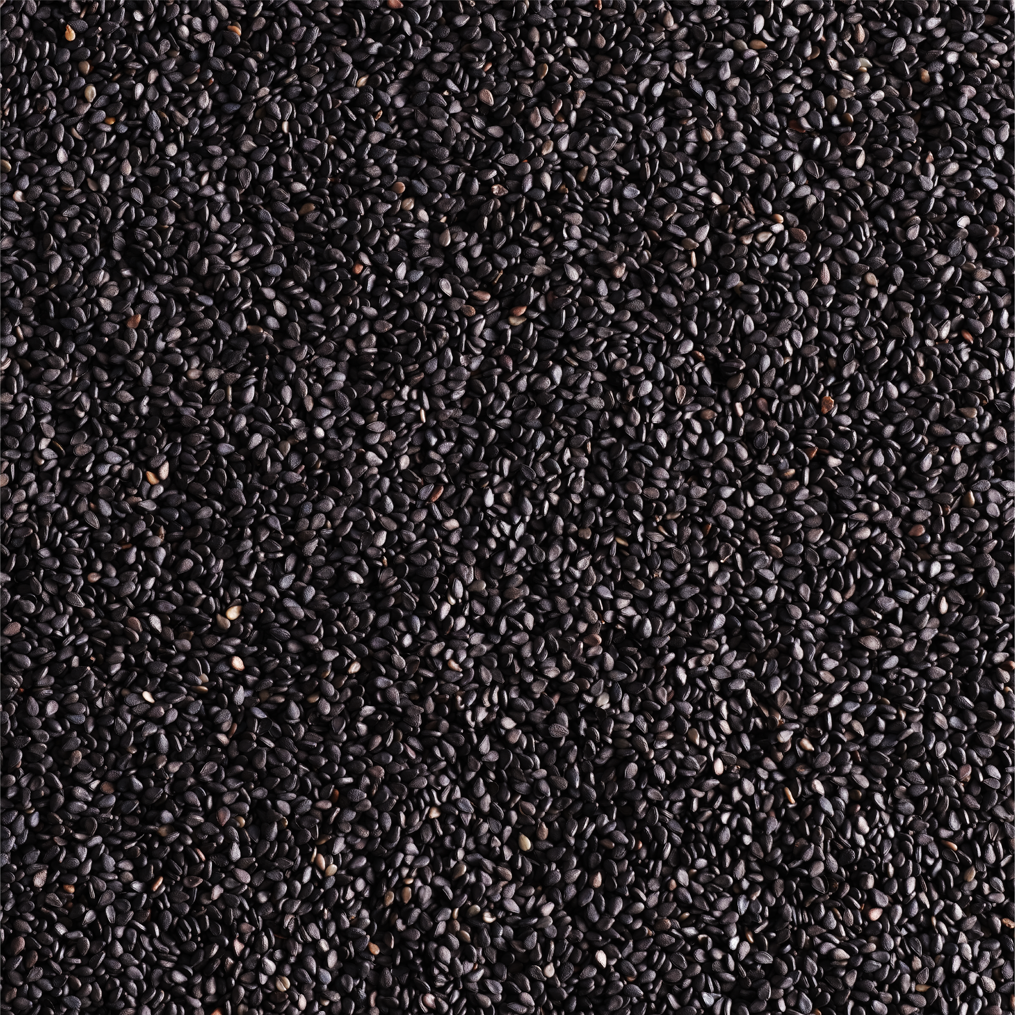 Kem Black Sesame (Mè Đen)