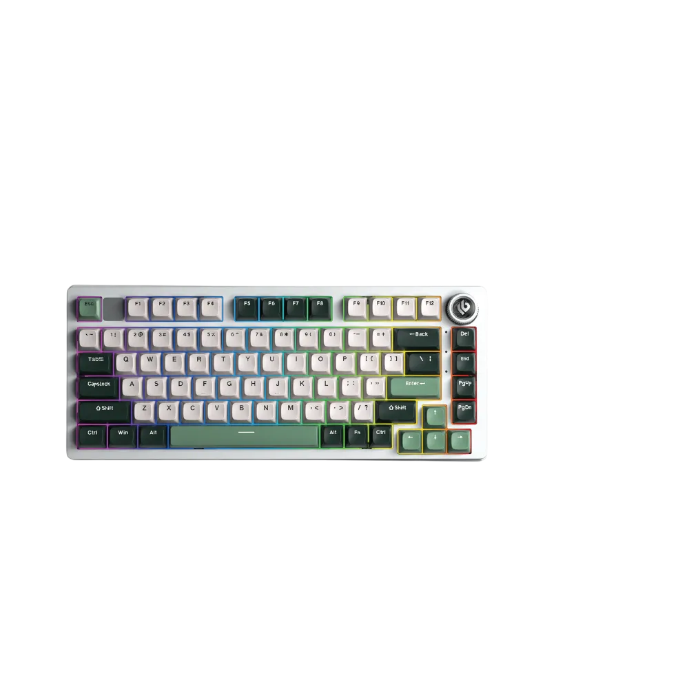Bàn phím Leobog Hi75C PRO TM (Misty green/ Ice Vein switch) HI7507