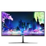 Màn hình E-DRA EGM24F100PV 24" IPS 100Hz 