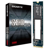  Ổ Cứng SSD GIGABYTE NVMe V2 256GB (G3NVMEV2256G) 
