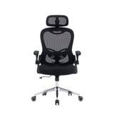  Ghế công thái học E-Dra EEC224 