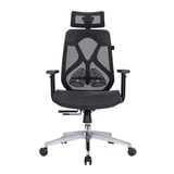  Ghế công thái học E-Dra EEC225 