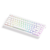  Bàn phím AKKO có dây TAC75 White HE Astrolink Magnetic Switch 