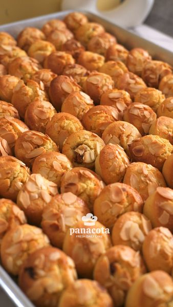 (TT) FINANCIER CRANBERRY