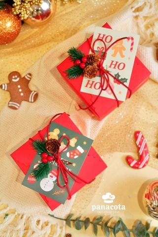 SET ICING COOKIE (8C)