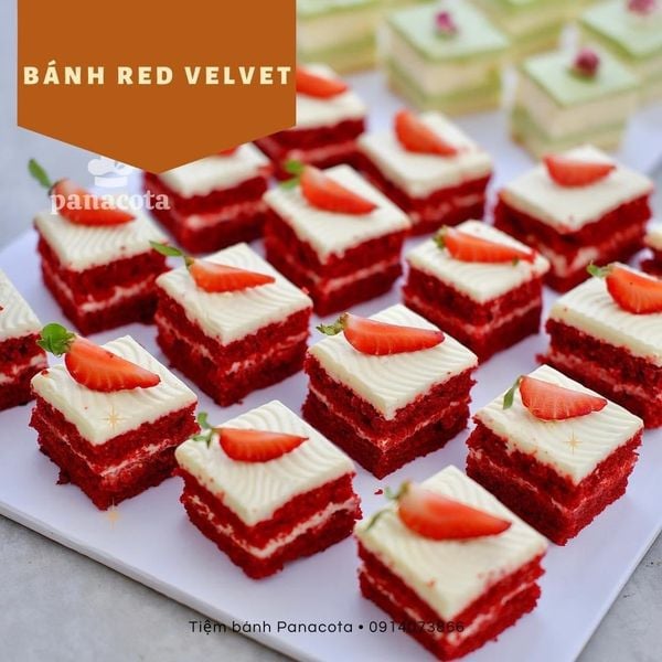 (TT) SET MIẾNG CẮT 25M