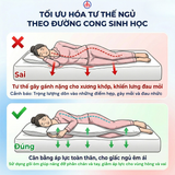  Ruột gối lông vũ nhân tạo cao cấp - Ruột Gối Gòn tơ Ngọc Hạnh 
