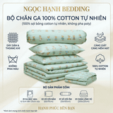  Bộ Chăn Ga Gối Cotton Họa Tiết Gấu Nâu Nền Xanh nệm 20cm trở xuống - Ngọc Hạnh Bedding 