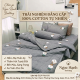  Bộ Chăn Ga Gối Cotton Họa Tiết Gấu Nền Xám nệm 20cm trở xuống - Ngọc Hạnh Bedding 