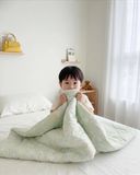  CHĂN TRẺ EM 1m2 x 1m6, 100% Cotton tự nhiên, không pha poly, càng giặt càng mềm càng mát, an toàn cho da của bé, Họa Tiết Bông Nền Xám  - Ngọc Hạnh Bedding 