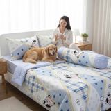  BỘ DRAP GIƯỜNG COTTON CM XANH TRẮNG BÒ SỮA nệm 5cm 10cm 15cm 20cm - NGỌC HẠNH BEDDING 