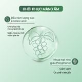  SILVER DAILY CALMING MILKY ESSENCE - Nước dưỡng keo bạc hỗ trợ làm dịu mát dưỡng ẩm sâu 120 ml 