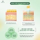  NANO TEA TREE ACNE-CARE SPOT GEL - Gel chấm mụn tràm trà 