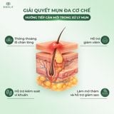  NANO TEA TREE ACNE-CARE SPOT GEL - Gel chấm mụn tràm trà 