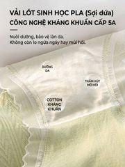 Combo 3 Quần Lót Nữ Speranza SPQ724SH Kháng Khuẩn 5A Mềm Mại