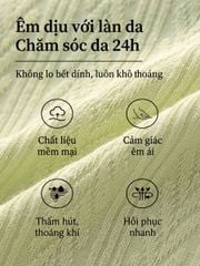 Combo 3 Quần Lót Nữ Speranza SPQ724SH Kháng Khuẩn 5A Mềm Mại