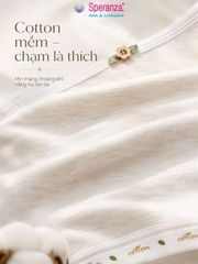 COMBO 2 Áo Lá Học Sinh Speranza SPAL0014SH Cotton Thoáng Khí