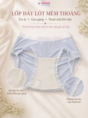 Quần Lót Nữ Speranza SPQ01209 Cạp Êm Mềm Mịn Co Giãn Thoải Mái