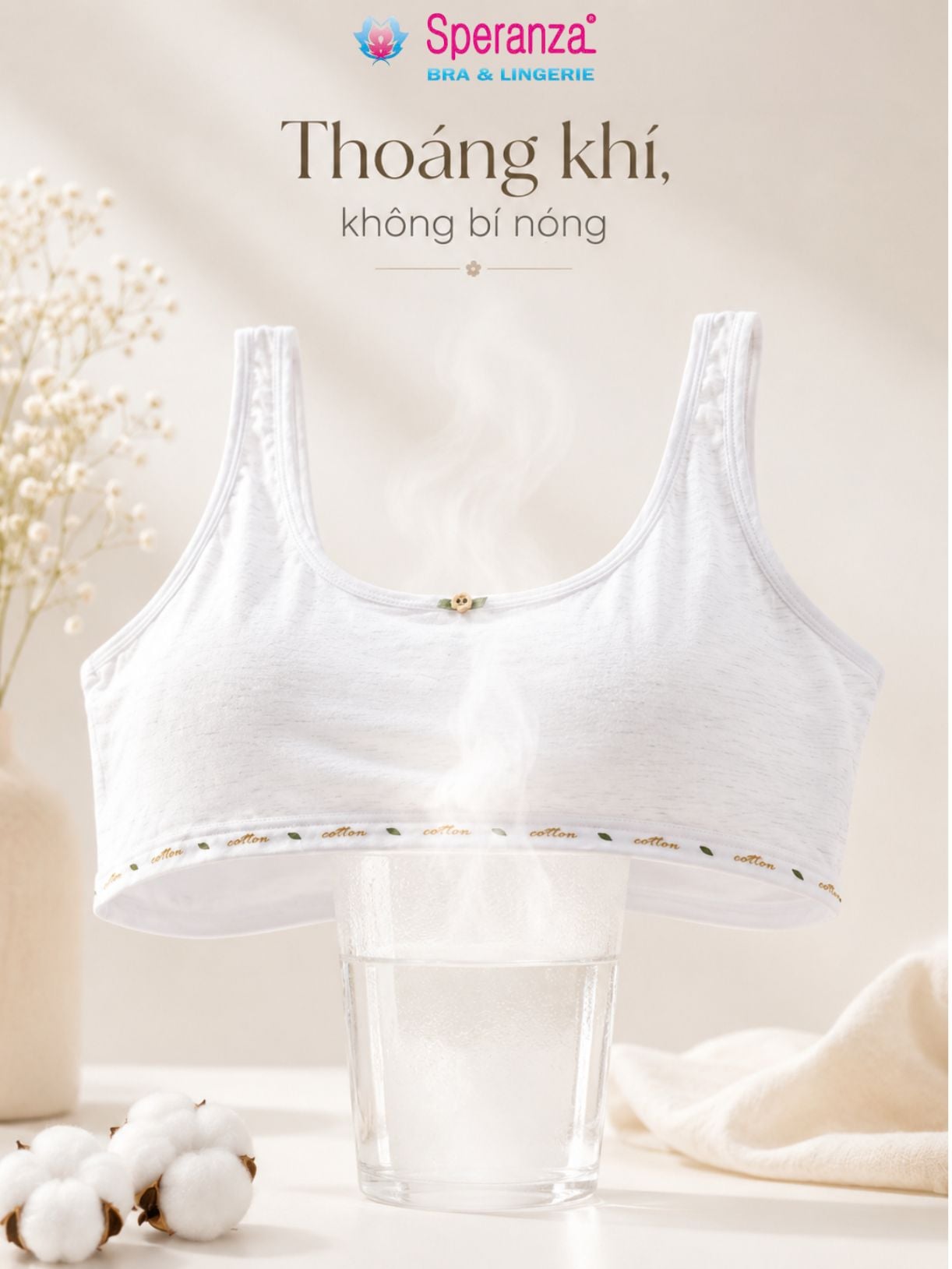 COMBO 2 Áo Lá Học Sinh Speranza SPAL0014SH Cotton Thoáng Khí
