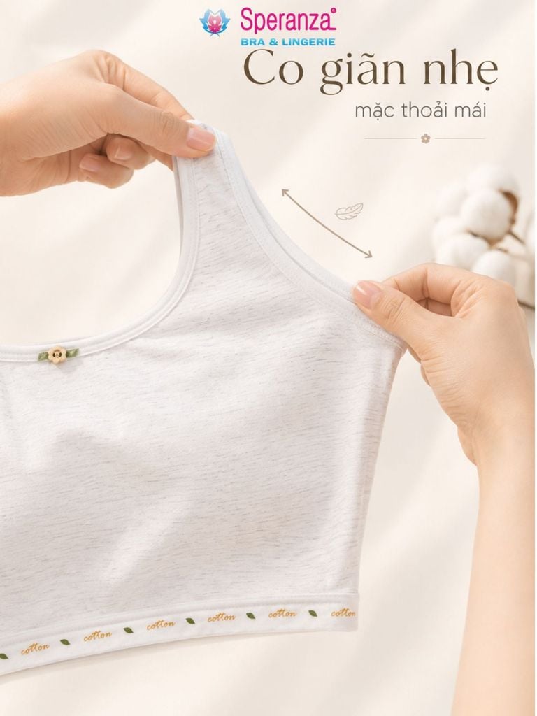COMBO 2 Áo Lá Học Sinh Speranza SPAL0014SH Cotton Thoáng Khí