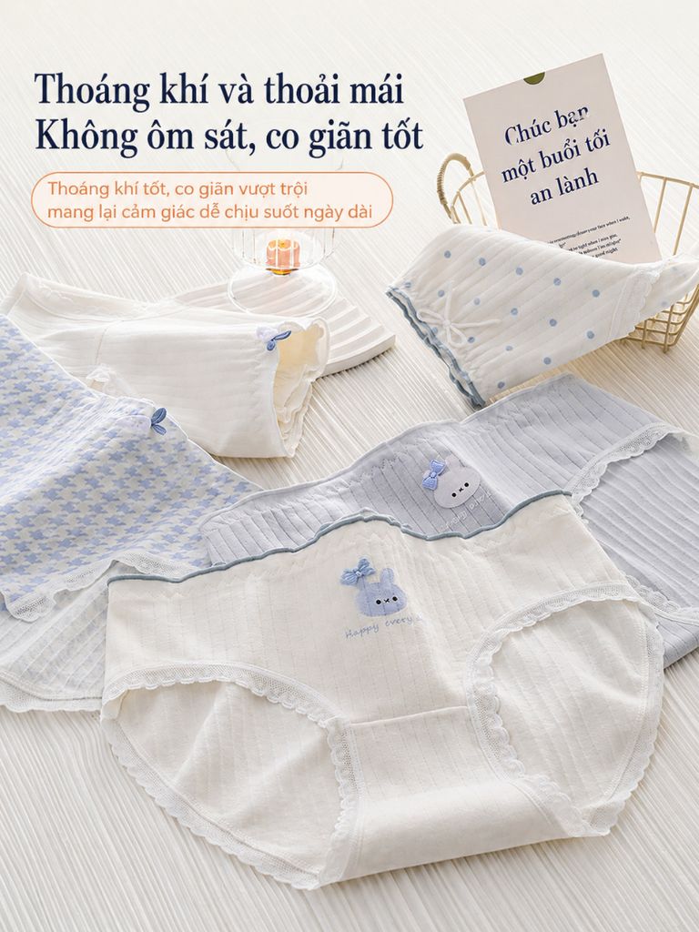[COMBO 5] Quần Lót Cotton Nữ Speranza SPQ0175SH Đáy Kháng Khuẩn, Viền Bèo Không Hằn