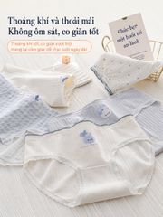 [COMBO 5] Quần Lót Cotton Nữ Speranza SPQ0175SH Đáy Kháng Khuẩn, Viền Bèo Không Hằn