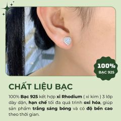 Bông tai trái tim bạc 925  đính đá Cubic Zirconia 5A tim 5.0ly ROWLER EA000946
