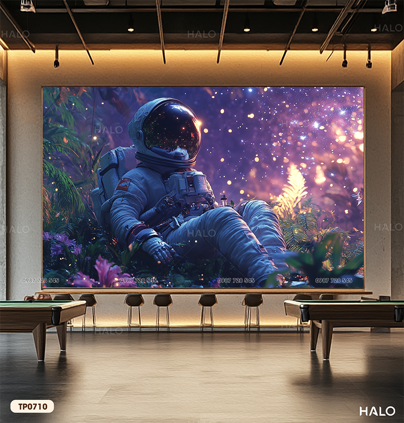 Tranh Dán Tường Mộng Ảo Ngân Hà 8D 16D - TP0710 