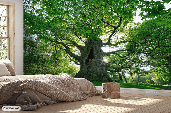  Tranh Dán Tường Cây 8D 16D - CAY2304 