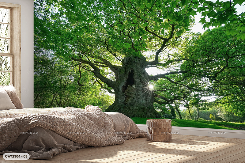  Tranh Dán Tường Cây 8D 16D - CAY2304 