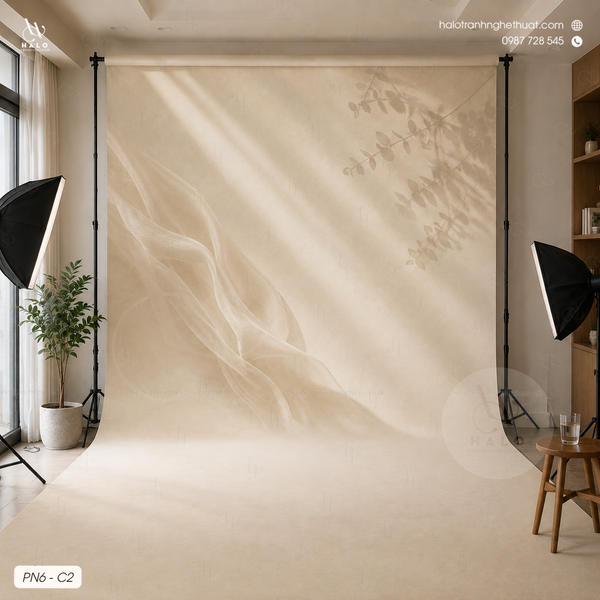  Tranh Phông Nền Studio - PN6 - C2 