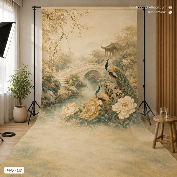  Tranh Phông Nền Studio - PN6 - D2 