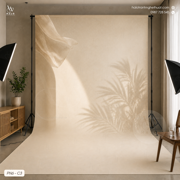  Tranh Phông Nền Studio - PN6 - C3 