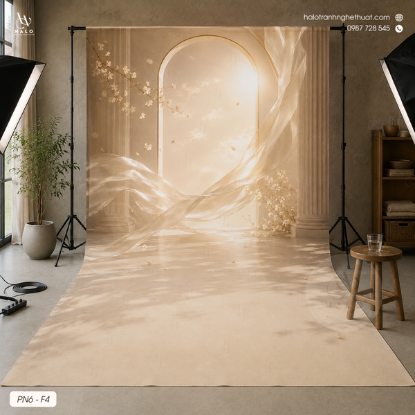  Tranh Phông Nền Studio - PN6 - F4 