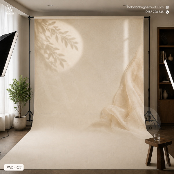  Tranh Phông Nền Studio - PN6 - C4 