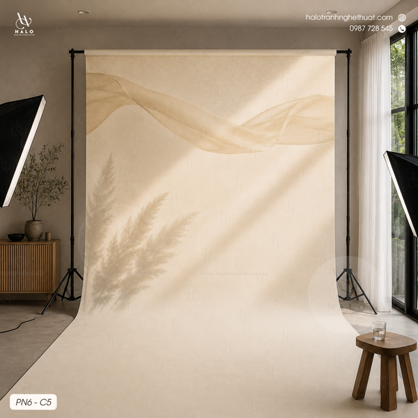  Tranh Phông Nền Studio - PN6 - C5 