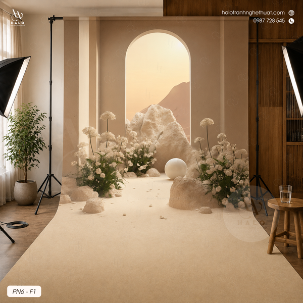  Tranh Phông Nền Studio - PN6 - F1 