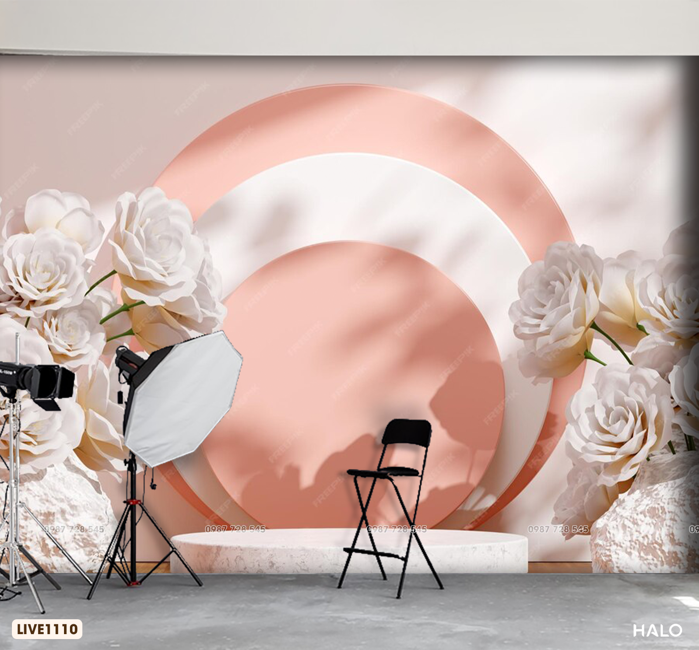  Tranh Dán Tường Studio 8D 16D  - LIVE1110 