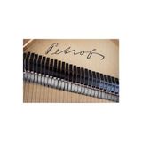  Đàn Piano Grand Petrof Standard Series Grand P173 Breeze 
