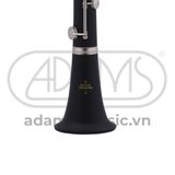  Kèn Bb Clarinet Buffet Crampon 17/6 B12 BC2540N-5-0GB 