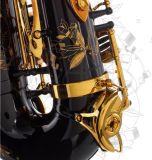  Kèn Saxophone Alto Henri SELMER Paris Supreme Black 