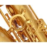  Kèn Saxophone Alto Selmer Signature Gold 