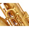  Kèn Saxophone Alto Selmer Signature Gold 