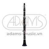  Kèn Bb Clarinet Buffet Crampon 17/6 B12 BC2540N-5-0GB 