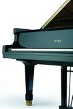  Đàn Piano Grand Petrof Master Series P210 Pasat 